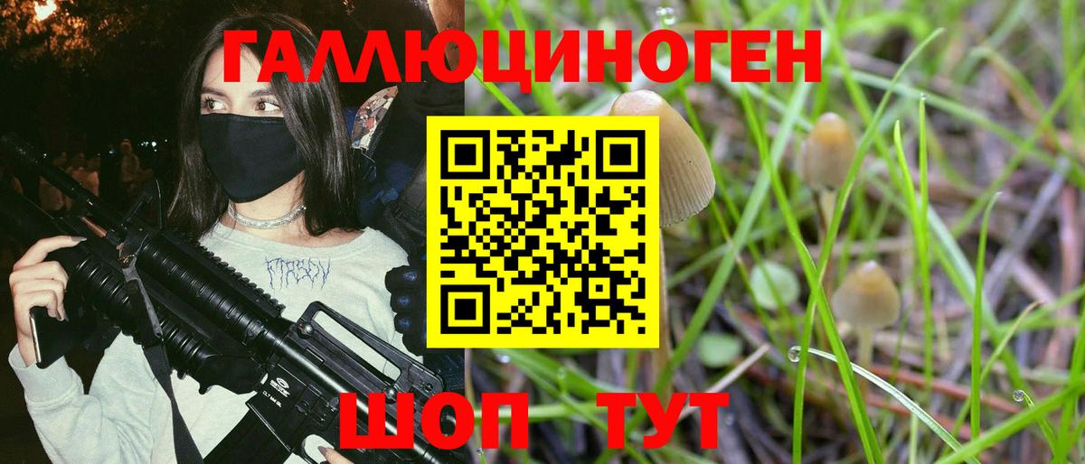 Псилоцибиновые грибы MAGIC MUSHROOMS  Вход с VPN  Балтийск 