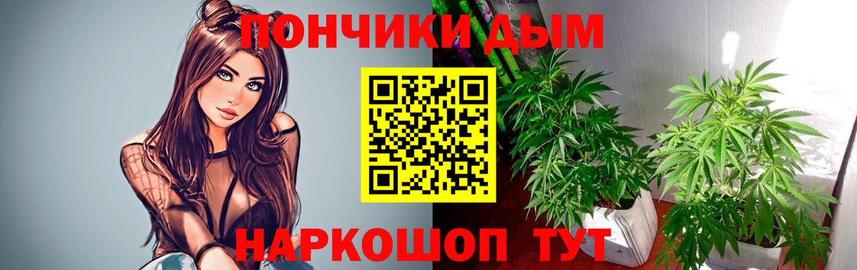 Балтийск  МАРИХУАНА планчик  Вход с VPN  Каннабис Bruce Banner  Канабис AK-47  Канабис индика 